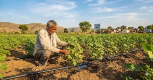 Pradhan Mantri Krishi Sinchai Yojana